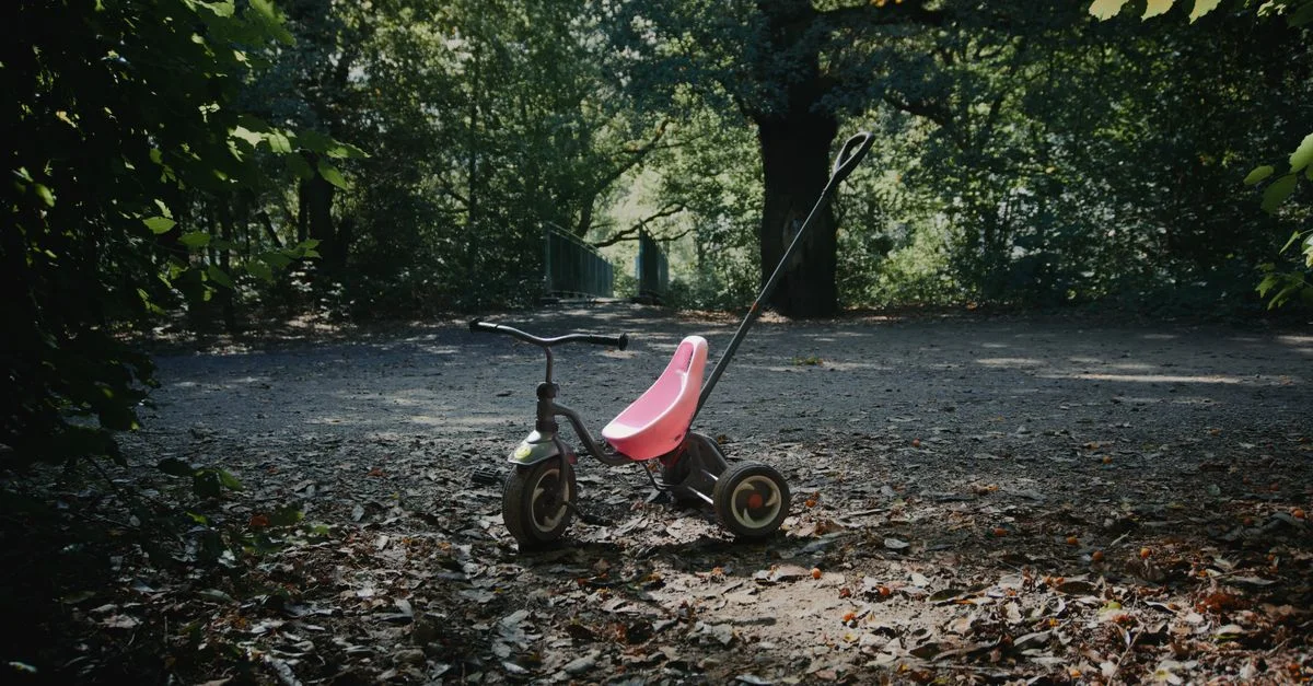 Un tricycle solitaire avec un siège rose sur un chemin forestier couvert de feuilles à la lumière du jour.